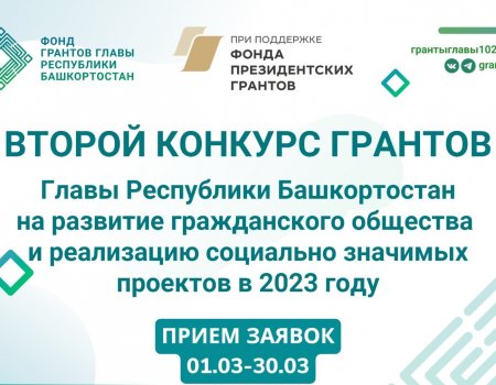 Объявлен старт приема заявок на второй конкурс грантов Главы Республики Башкортостан для НКО