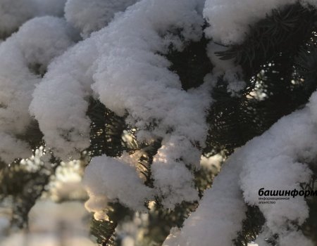 Мокрый снег, порывистый ветер, 0 градусов: прогноз погоды в Башкортостане на 8 марта