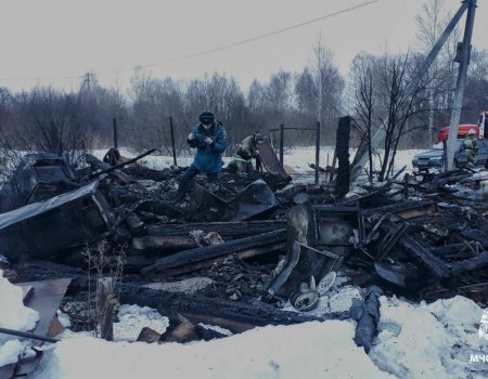 В Башкортостане при пожаре в садовом доме сгорели женщина и ее ребенок