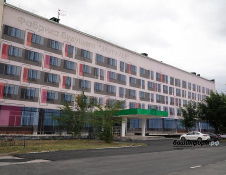 Стратегически важная территория: какие экономические процессы происходят в башкирском Зауралье