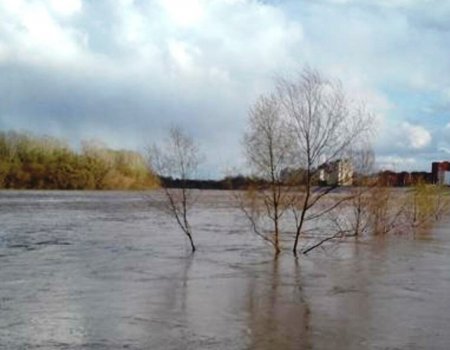 В Башкирии синоптики прогнозируют вскрытие степных рек уже на этой неделе