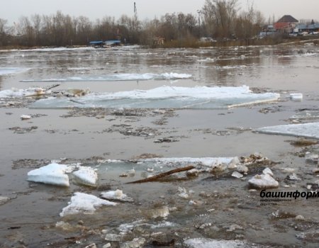 Ледоход на реках Башкортостана ожидается в первые дни апреля