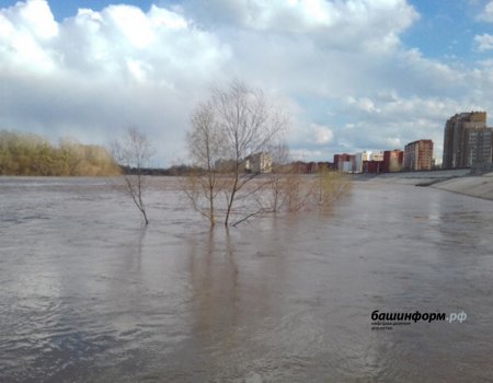 В Башкортостане из реки вытащили разлагающийся труп мужчины