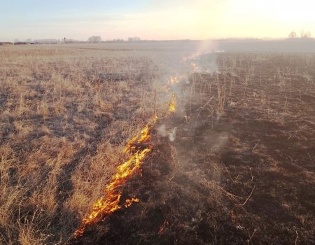 2 гектара территории загорелись из-за сухой травы в Башкирии