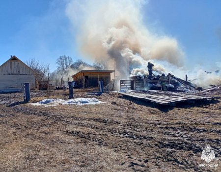 В Башкортостане сгорели надворные постройки у дома патронатной семьи с 17 детьми
