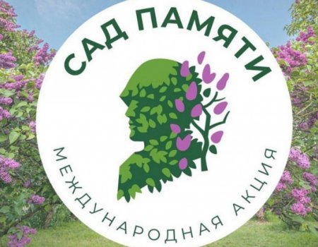 В рамках акции «Сад памяти» в Башкортостане высадят 700 тысяч новых деревьев