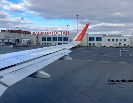 Самолет Москва — Уфа столкнулся с птицей: воздушное судно отстранили от полетов