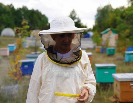 Специалисты из Башкирии помогут в восстановлении популяции белорусской пчелы