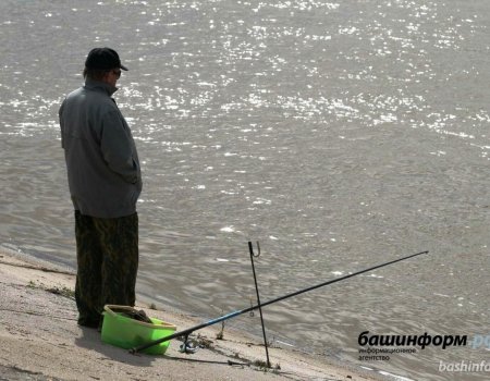 В Уфимском районе рыбак запутался в сетях и утонул