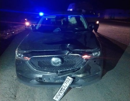 В Башкортостане в двух ДТП погибли водитель и пешеход