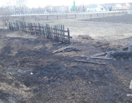 Жительница Башкортостана получила сильные ожоги при попытке потушить горящую траву