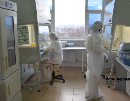 В России выявили новый штамм коронавируса «арктур»