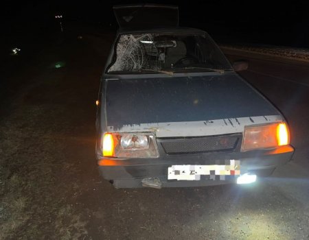 В Башкортостане водитель сбил насмерть идущую по обочине женщину