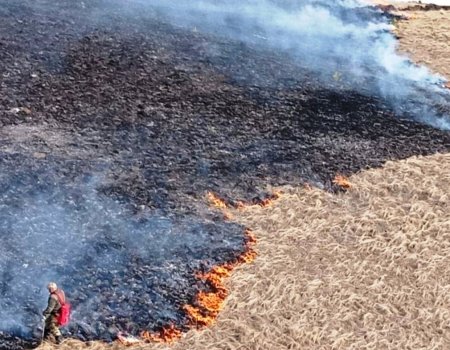 В Башкирии за неделю произошло 164 случая возгорания сухой травы
