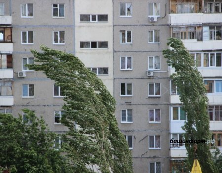 В Башкортостане вновь прогнозируется сильный ветер