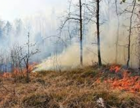 «Сезон будет тяжелый»: в Башкортостане сохраняется высокий класс пожароопасности