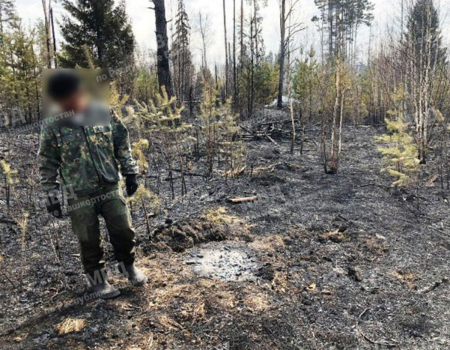 В Башкортостане рабочий делянки разжег костер для приготовления обеда и спровоцировал лесной пожар