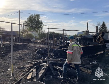 Жительница Башкортостана сжигала мусор, из-за ветра разгорелся серьезный пожар