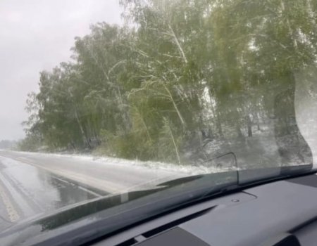 На юге Башкортостана с утра выпал снег