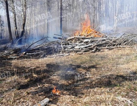 Полицейские установили предполагаемых виновников пожаров на территории Зилаирского лесничества