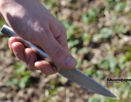 Житель Башкортостана, затаив злобу на пьяного соседа, пырнул его ножом в живот