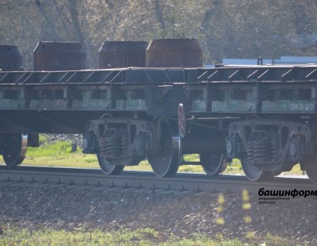 В Башкортостане лоси угодили под грузовые поезда