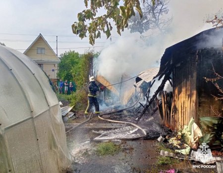 В садовом товариществе под Уфой в пожаре погибли две женщины