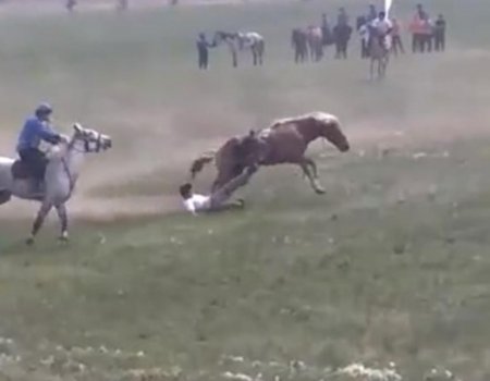 На сабантуе в Башкортостане лошадь сбросила и едва не затоптала всадника (видео)