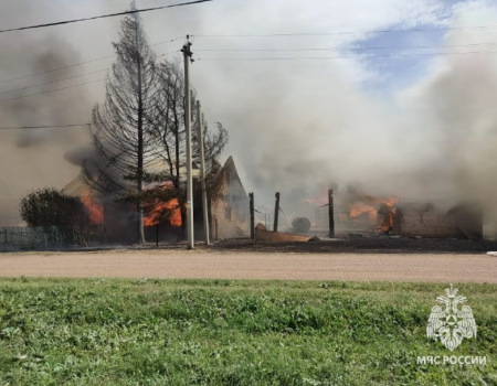 В одном из сел Башкортостана пожар уничтожил два дома, баню и надворные постройки