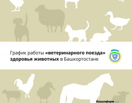 В Башкортостане рассказали о ветеринарных поездах здоровья животных