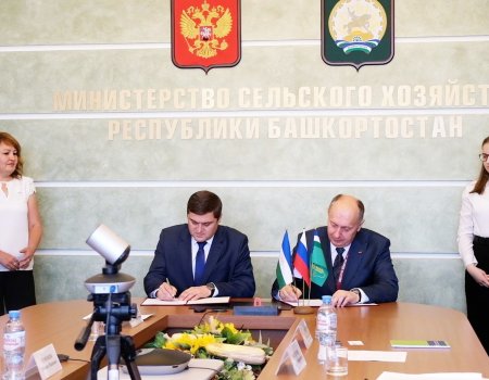 В Башкирии будут собирать минитракторы «Беларус»