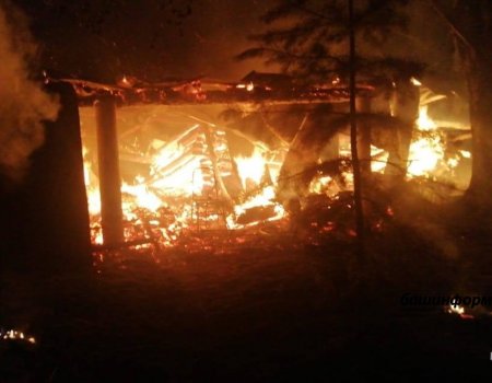 В Башкортостане на территории личного хозяйства произошел сильный пожар: МЧС проводит расследование