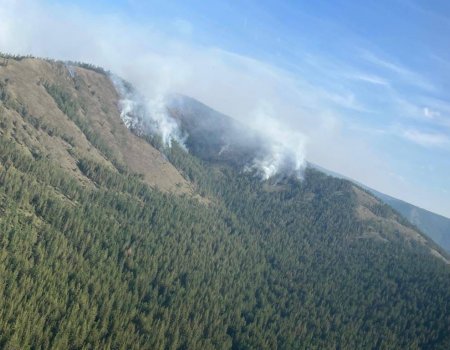 В Башкирии бушуют пять очагов лесных пожаров