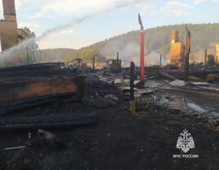 Сгорели дома, бани, машины: МЧС сообщило подробности пожара в Башкортостане