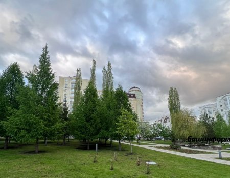 Грозы, ливни, град: МЧС по Башкирии вновь предупреждает граждан об опасных погодных явлениях