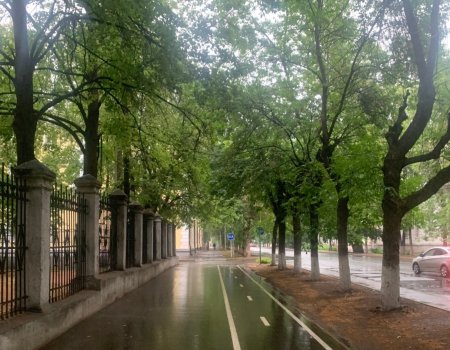 Дожди не хотят уходить: синоптики Башкортостана рассказали о погоде в ближайшие дни