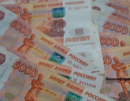 Мошенники под предлогом взлома сервиса «Госуслуги» выманили у жителя Башкирии полмиллиона рублей