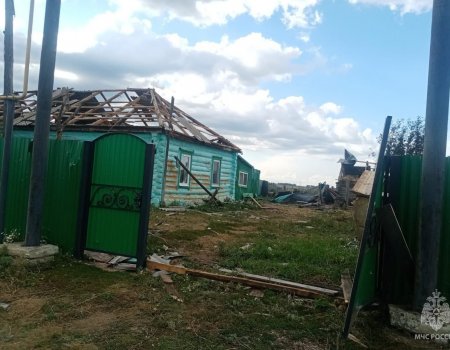 В МЧС по Башкортостану сообщили о последствиях ураганного ветра в Баймакском районе