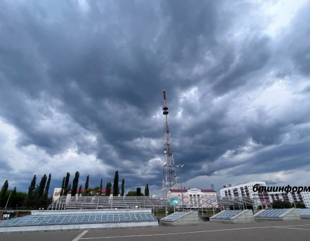 В Башкортостане 5 августа прогнозируются небольшие дожди, грозы и туман