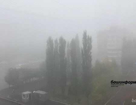 По Башкирии ожидаются грозы и туман