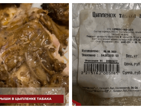 Жителю Башкортостана в магазине продали цыпленка табака с опарышами