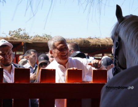 Глава Башкирии посетил площадки международного фестиваля лошадей башкирской породы «Башҡорт аты»