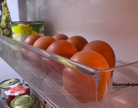 В Роспотребнадзоре Башкортостана объяснили, можно ли есть яйца фабрики, где обнаружен птичий грипп