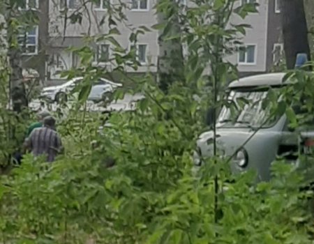 В Башкортостане в лесопосадке обнаружили трупы двух мужчин
