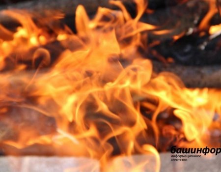 МЧС по Башкирии предупреждает о чрезвычайной пожароопасности в 33-градусную жару
