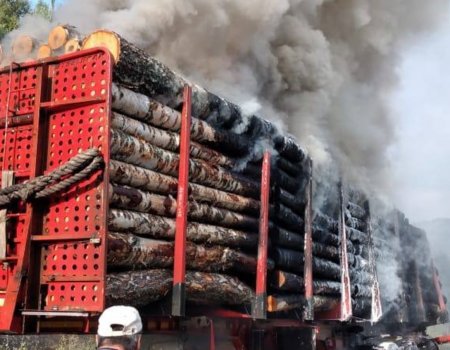 В Башкортостане на трассе загорелся груженный дровами грузовик