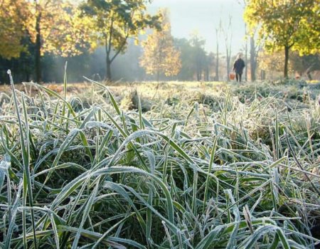 В Башкортостане снова ожидаются ночные заморозки до -2 градусов