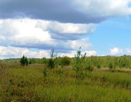 В Башкирии выявлено 50 гектаров не используемой по назначению земли