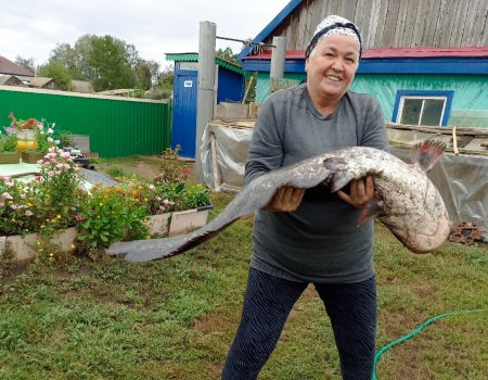 Пенсионерка в Башкирии поймала 12-килограммового сома