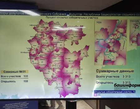 В режиме выезда на выборах в Башкирии работают 6,5 тысячи наблюдателей